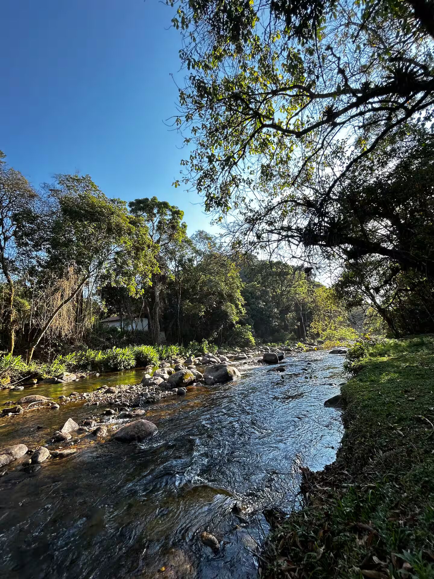 Rio Preto correndo entre as pedras ao lado da Casa Terrário da Montanha